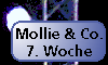 Mollie und Co. [14. April 2001]