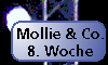 Mollie und Co. [22. April 2001]