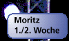 Moritz [Januar 2002]